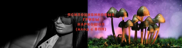 мяу мяу мука Новодвинск
