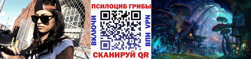 MEGA сайт  Зубцов  Псилоцибиновые грибы мухоморы  где найти наркотики 